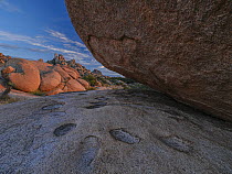 Council rocks archaeological district, Cochise Stronghold, Dragoon Mountains, Coronado National Forest, Arizona, USA. November, 2023.