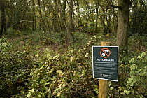 'No foraging' sign in woodland, Ebernoe Common Nature Reserve, Sussex, England, UK. November, 2023.