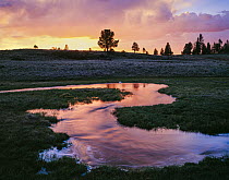 Oncoming storm clouds at sunset over Hall Creek, Apache Sitgreaves National Forest, Arizona, USA.