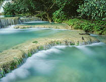 Cascading turquoise waters at Minas Viejas falls on the San Luis Potosi -Tamaulipas border, Sierra Madre Oriental, Mexico.