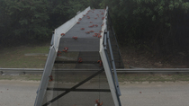 Drone tracking shot of Christmas Island red crabs (Gecarcoidea natalis) using wildlife bridge over road during migration. The drone ascends up the side of the bridge, showing its structure and the cra...