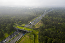 Aerial view of a wildlife crossing over the A10 highway, built in 2012, it is the most used by Red deer (Cervus elaphus) in France, Charente-Maritime, France. May, 2019.