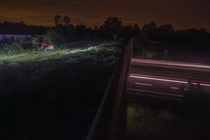 Group of Roe deers (Capreolus capreolus) grazing on a wildlife crossing above the A10 highway at night, Charente-Maritime, France. May. Camera trap image.
