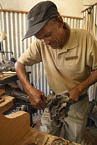 Man making feather dusters from Ostrich (Struthio camelus) feathers, Highgate Ostrich Show Farm, Oudtshoorn, Western Cape, South Africa. December, 2017.