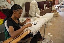 Woman making a feather boa from Ostrich (Struthio camelus) feathers, Highgate Ostrich  Show Farm, Oudtshoorn, Western Cape, South Africa. December, 2017.