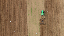 Drone tracking shot of a tractor ploughing a field with Gull (Larus sp.) flock following. The Gulls land in the freshly ploughed area to feed. Devon, UK.