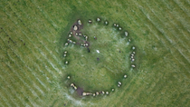 Drone shot of Castlerigg Stone Circle. This stone circle was built around 3000BC. The drone ascends above the historical landmark. Keswick, Lake District, Cumbria, UK.