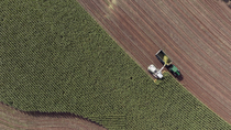 Drone tracking shot of combine harvester and tractor harvesting corn, Usk, Monmouthshire, South Wales, UK.