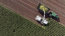 Drone tracking shot of combine harvester and tractor harvesting corn, Usk, Monmouthshire, South Wales, UK.