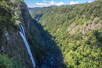 View of 200m high Ellenborough Falls, near Taree, New South Wales, Australia, April, 2023.
