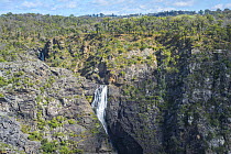 View of Tia Falls, Oxley Wild Rivers National Park World Heritage site, Northern Tablelands, New South Wales, Australia. April, 2023.
