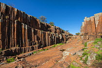 Organ Pipes rock formation, Gawler Ranges National Park, South Australia. March, 2013.