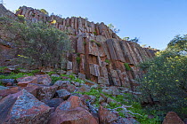 Organ Pipes rock formation, Gawler Ranges National Park, South Australia. March, 2013.