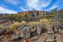 Organ Pipes rock formation, Gawler Ranges National Park, South Australia. March, 2023.