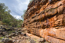 Jack's Creek Gorge, formed from Upper Devonian Sandstone, Cocoparra National Park, New South Wales, Australia. March, 2023.