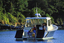 Anchored with the transom doors open on a Pearson True North 38 motorboat in Narragansett Bay, Rhode Island, New England, USA.