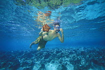 A snorkeler holding a starfish underwater, Vava'u group of islands, Tonga, South Pacific.