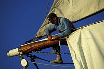 Crew member aboard Tall Ship "Gazella", setting the tack of a square sail at the top end of the yard arm. Newport, Rhode Island, USA 1992