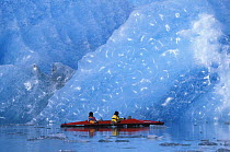 Kayakers dwarfed by dimpled blue glacial ice, Bear Glacier, Kenai Peninsula, Alaska. 2001