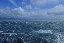A 70 knot storm off Cape Horn, Chile. ^^^This area has a well-earned reputation for its mountainous seas and constant gales, caused by the build up of uninterrupted depressions circulating the Souther...