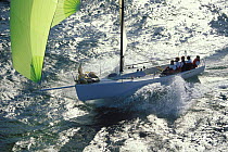 The crew of the J90 "Jungle Drum" sitting aft on the windward rail as the boat takes off downwind under an asymmetric spinnaker.