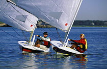 Two Lasers sailing on calm day at Cape Cod, Massachusetts, USA.