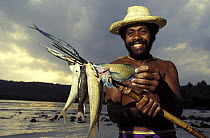 Fisherman on beach in Vanuatu, South Pacific with his catch on a spear, 1993. Model Released.