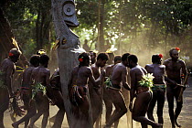 A traditional tribal dance in Vanuatu, South Pacific.