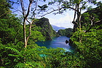 View from the trail that leads to Kayangan lake, Coron island, Philippines.