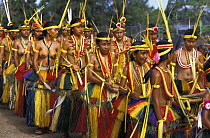Dancers in traditional costume, Yap, Micronesia.