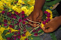 Weaving flowers, for hair and neck decoration, Yap, Micronesia.