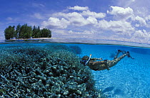 Snorkelling near Dondola Island, Togian Islands, Sulawesi, Indonesia.