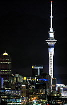 The Auckland Sky Tower at night, North Island, New Zealand.