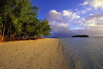 Late afternoon light on a tree lined beach in Tonga, part of the Vava'u Group of islands,South Pacific.