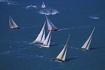 The 12 metre class beating upwind during the Round the Island race held during the America's Cup Jubilee, Cowes, Isle of Wight, 2001.
