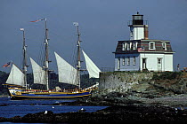 Tall ship "Bounty" sailing by the Rose Island Lighthouse off Newport, Rhode Island, USA.