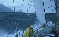 A crew member tending to the sheet aboard "Sariyah", in strong onshore winds and a heavy swell the staysail alone is sufficient to keep the boat moving whilst heading down the coast of Chile towards C...