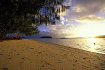 Evening light on a tree lined beach in the Vava'u group of islands, Tonga, South Pacific.