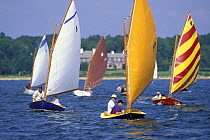 Beetle Cats racing off Padanaram, Massachusetts, USA. Designed in 1921 by Carl Beetle in MA, ^^^ these colourful gaff-rigged dinghies continue to be built and remain an active and popular one-design f...