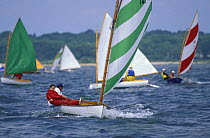 Beetle Cats racing off Padanaram, Massachusetts, USA. Designed in 1921 by Carl Beetle in MA, ^^^ these colourful gaff-rigged dinghies continue to be built and remain an active and popular one-design f...