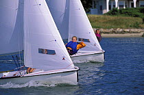 Girls trapezing on 420 dinghies, racing in a light breeze off Cape Cod, Massachusetts, USA.