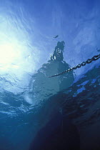 Underwater view of a motorboat bow and anchor chain, Bahamas.