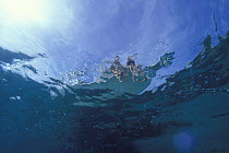 Underwater view of an anchored motorboat, with two children dangling their legs over the side, Bahamas.