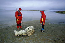 Yacht crew carrying a bear rifle and looking at the remains of a whale skeleton at an old whaling station in Spitsbergen, Svalbard, Norway, 1998.
