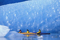 Kayaking among bright turquoise icebergs at the foot of Bear Glacier in the Kenai Fjords National Park, Alaska. 2001
