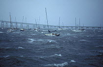A strong wind blows across yachts on their moorings in Newport, Rhode Island, USA. The Newport bridge is in the background.