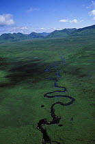 Aerial view of a meandering river on Kodiak Island, Alaska. 2001