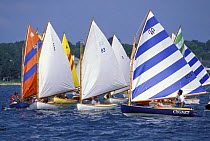 Beetle Cats racing off Padanaram, Massachusetts. Designed in 1921 by Carl Beetle in MA, these colourful gaff-rigged dinghies continue to be built and remain an active and popular one-design fleet.