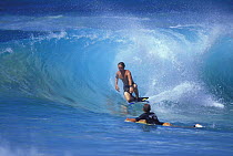 Bodyboarder kneeling the wave, Hawaii.