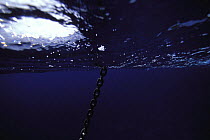 Anchor chain underwater.